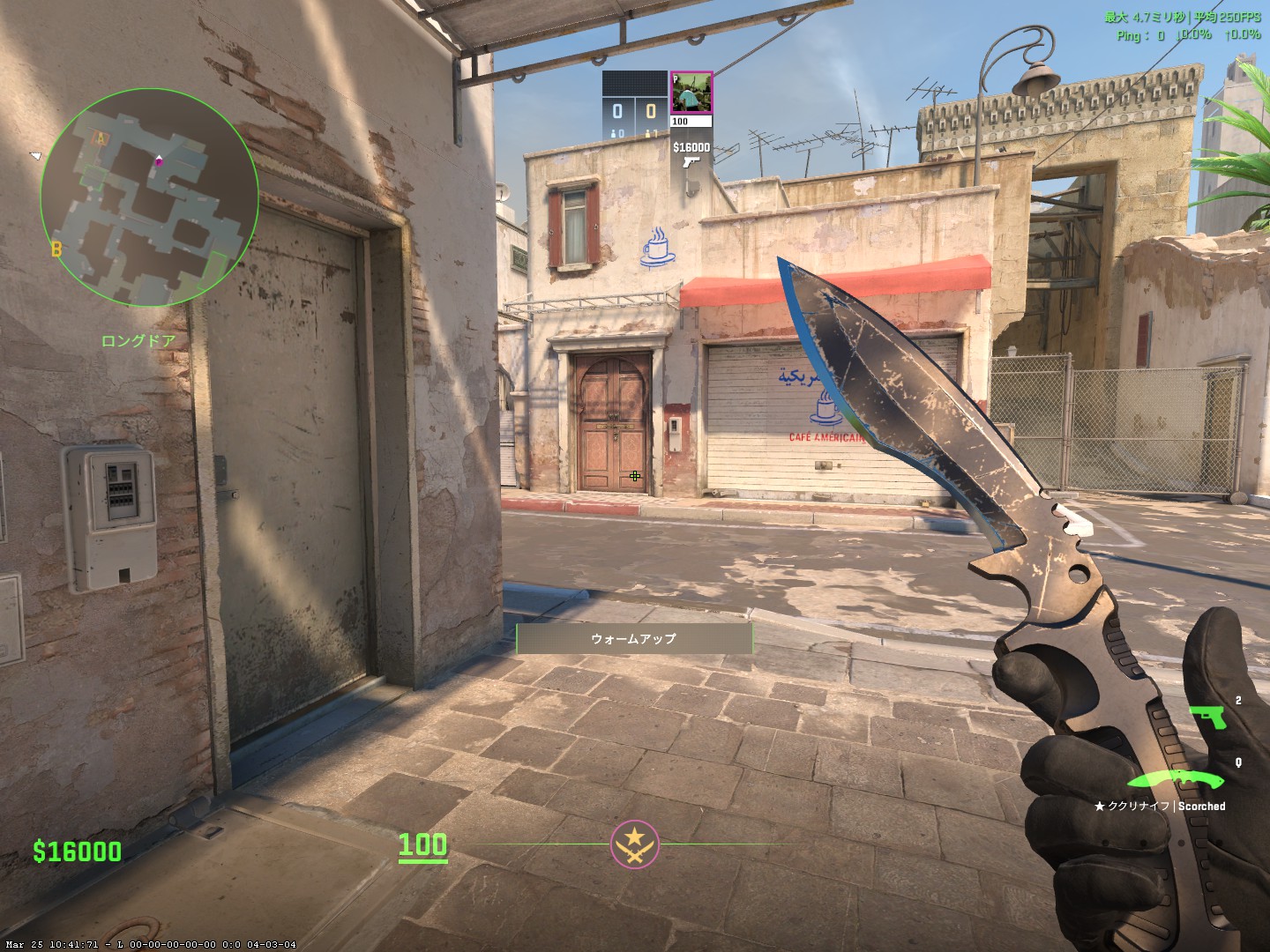 CS2 skins